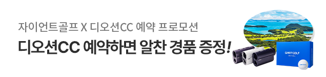 디오션 여름